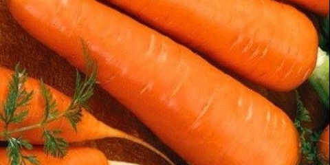 Šargarepa kaskada f1